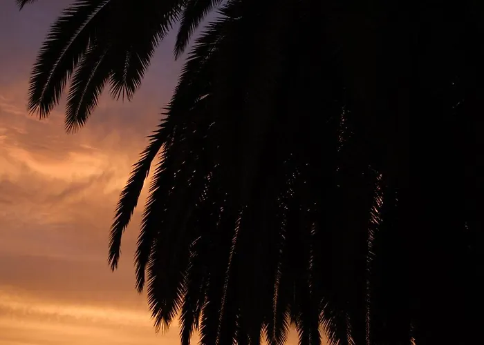 Casa Papaya - Year Heated Pool *