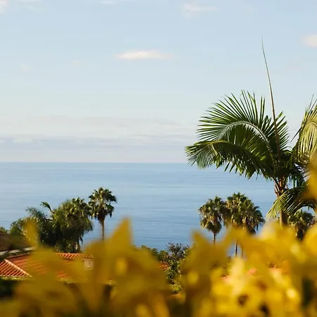 Casa Papaya - Year Heated Pool Villa La Orotava